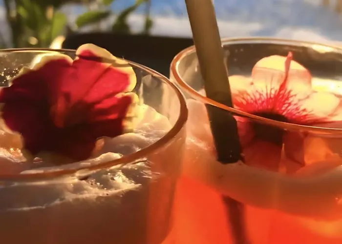 Premium Melia Garden Apartamento *